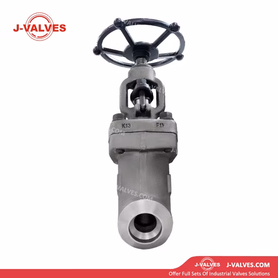 duplex stainless steel Globe Valve J41W