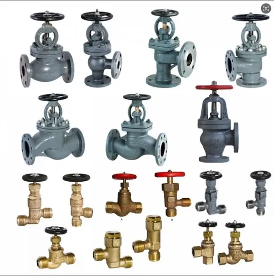 Globe Valve JIS F7311 Cast Steel Marine Valve 5K with High Quality