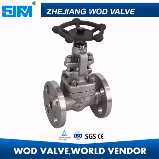 Stainless Steel5s F304 150lb 12 Flange Forged Globe Valve J41h